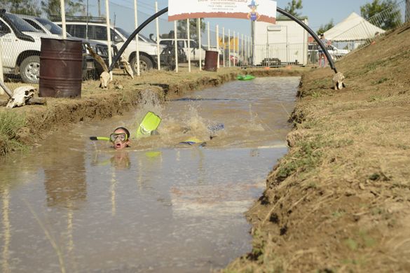Bog snorkelling was a popular novelty event at the 2014 Dirt n Dust Festival