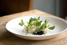 Alibi's Kelp Noodles