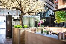 Alibi Bar and Kitchen 5