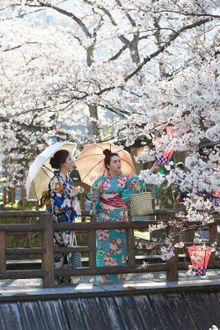 Yukata Rental with Sakura