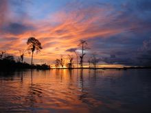 Amazon Sunset