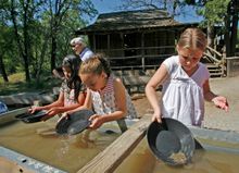 Gold Panning at Hidden Treasure Gold Mine in Columbia State Historic Park