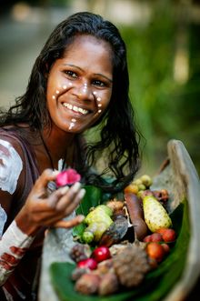 Bush Foods and Medicines