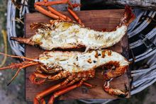 Flinders Island Crayfish Festival