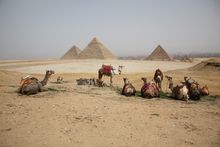 Marvel at the majesty of the Pyramids of Giza without the crowds