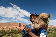 Discover the delights of the Middle East and Morocco with On The Go Tours