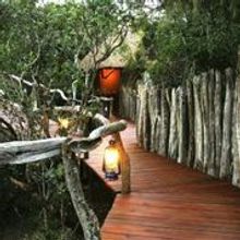  Private walkway to Villa at Lalibela Game Reserve