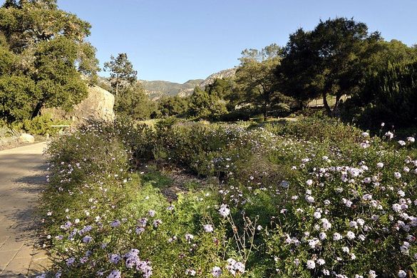 Santa Barbara Botanic Garden; Photo by Jay Sinclair