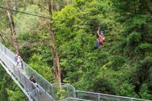 Zipline in Illawarra