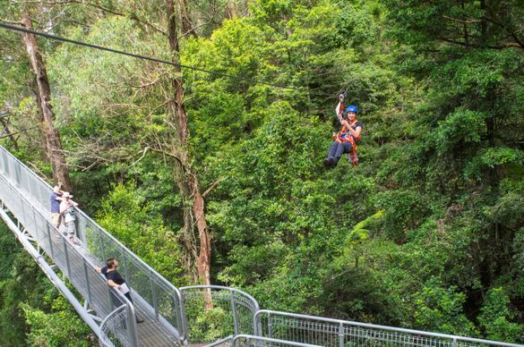 Zipline in Illawarra