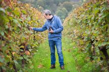 Sharpham Wine tours