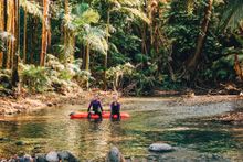 Float through the world's oldest living rainforest with Back Country Bliss in Cairns & Great Barrier Reef.