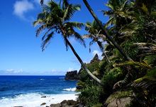 Pitcairn Coastline 