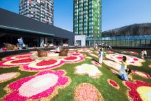 Hoshino Resorts TOMAMU Blooming Tomamu