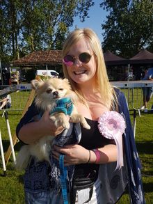 All About Dogs Best Rescue Dog