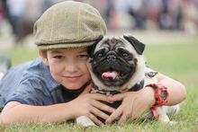 All About Dogs Boy and Pug