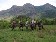 Ranch- und Reiturlaub in Guyana: ein spannendes und naturnahes Erlebnis! 