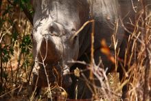 Matobo National Park, Zimbabwe