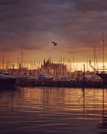 Palma de Mallorca