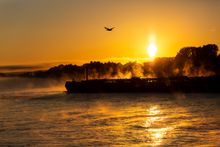 Rhein im Sonnenaufgang bei Oestrich-Winkel im Rheingau
