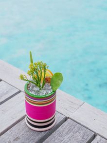 The Biosphere Mocktail at Vakkaru Maldives. 