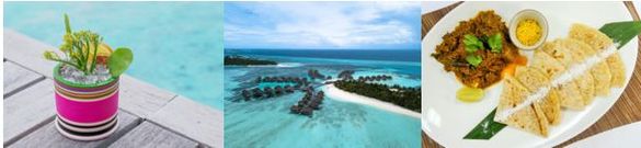 Bring The Magic Of The Maldives Home This Spring Bring The Magic Of The Maldives Home This Spring