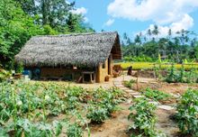 Anantara Tangalle Zero Waste Garden