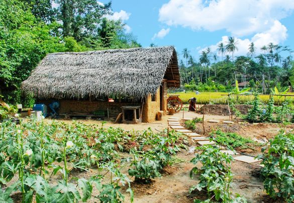 Anantara Tangalle Zero Waste Garden