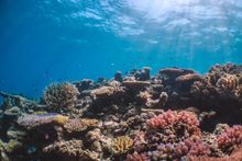 Great Barrier Reef