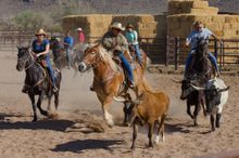 White Stallion Guest Ranch, Arizona, team penning
