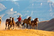 Hideout Lodge & Guest Ranch, Wyoming, riding with wild horses