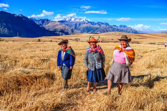 Three Peruvian Ladies