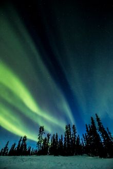 Nordlichter im Yukon