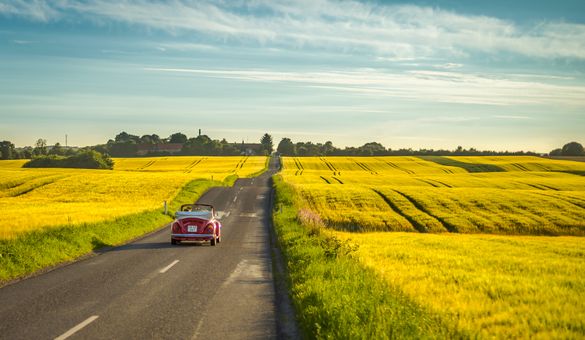Old-school car driving through yellow fields near Aarhus. Old-school car driving through yellow fields near Aarhus.