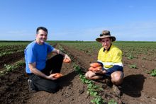 Dion Taylor (HSG In The Gardens) and Peter Greensill (Greensill Farming Group)