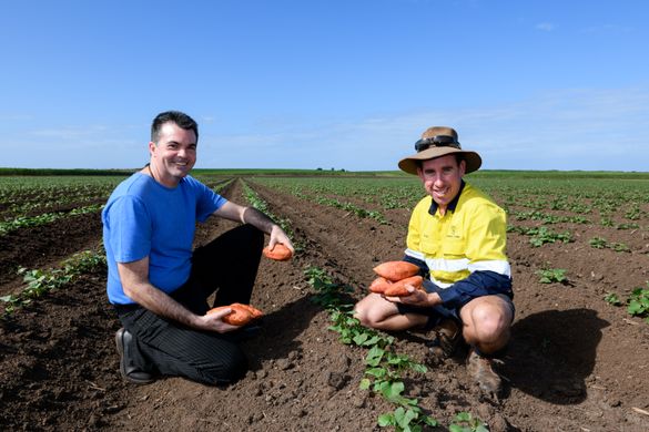 Dion Taylor (HSG In The Gardens) and Peter Greensill (Greensill Farming Group)