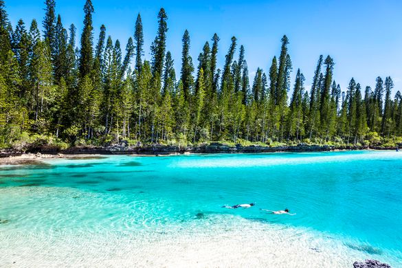 Snorkelling in the Isle of Pines is just one of many experiences travellers can enjoy in New Caledonia. Snorkelling in the Isle of Pines is just one of many experiences travellers can enjoy in New Caledonia.