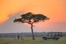 Safari sundowners with Asilia Africa