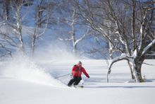 Hoshino Resorts TOMAMU - Tree Skiing