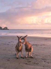 Queensland launches Facebook Livestream Series