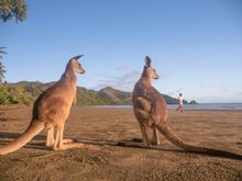 Queensland launches Facebook Livestream Series
