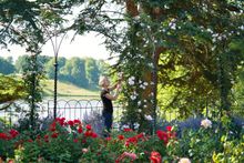 Blenheim's Head of Gardens Hilary Wood