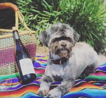 SAMsARA Wine Co. hosts Instagram Live and Zoom virtual tastings.