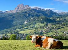 Cortina d'Ampezzo