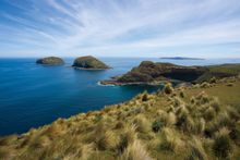 Cape Grim, Tasmania