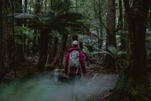 The Tarkine, Tasmania