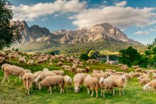 Cortina d'Ampezzo