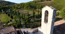 View of Vineyards from Chiesa del Carmine church tower 