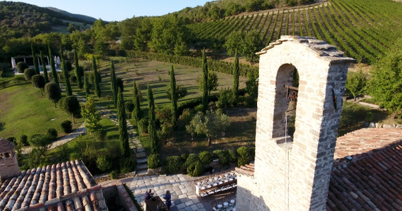 View of Vineyards from Chiesa del Carmine church tower 