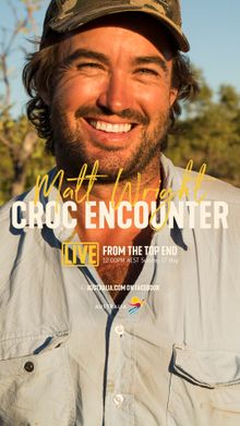Live from Aus - Matt Wright Croc Encounter